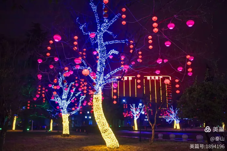 华灯初上 夜色迷人